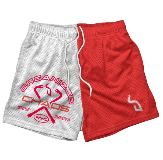 BRV ORGANIZED CHAOS MESH SHORT